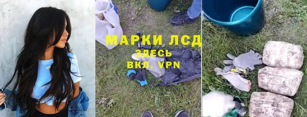 spice Белокуриха