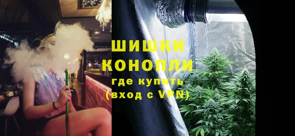крисы Баксан