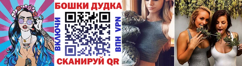 кракен как зайти  Ершов  Бошки марихуана индика 